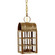 Adams Two Light Hanging Lantern in Antique Brass (196|6142ABLT2CSG)