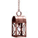 Adams One Light Hanging Lantern in Antique Copper (196|6032ACMEDCSG)