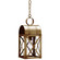 Adams One Light Hanging Lantern in Antique Brass (196|6032ABMEDSMG)
