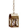 Adams One Light Hanging Lantern in Antique Brass (196|6012ABMEDCSG)