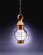 Round Onion One Light Hanging Lantern in Antique Brass (196|2832ABMEDCLR)