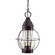 Bosc Two Light Hanging Lantern in Dark Brass (196|2742DBLT2CSG)