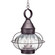 Onion Two Light Hanging Lantern in Dark Brass (196|2572DBLT2OPT)