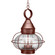 Onion Two Light Hanging Lantern in Antique Copper (196|2572ACLT2CLR)