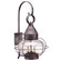 Onion Two Light Wall Mount in Dark Brass (196|2571DBLT2CSG)