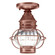 Onion One Light Flush Mount in Antique Copper (196|2514ACMEDOPT)