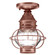 Onion One Light Flush Mount in Antique Copper (196|2514ACMEDCLR)