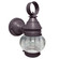 Cageless One Light Wall Mount in Dark Brass (196|2015DBMEDOPT)