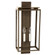Downtown Two Light Wall Lantern in Dark Antique Brass (196|11651DABLT2CSG)