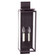 Downtown Two Light Wall Lantern in Dark Brass (196|11641DBLT2CSG)