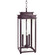Ellis Three Light Hanging Lantern in Dark Brass (196|10742DBLT3CLR)