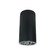 Cylinder LED Surface Mount in Black (167|NYLS26S35135SCCB6)