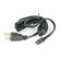 Sl LED LEDur 72'' LEDur Cord & Plug in Black (167|NUA805B)