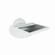 LED Track Head in White (167|NTEC88031535W)