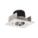 Rec Iolite LED Adjustable Gimbal in Warm White (167|NIOB2SG30QWW)