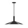 Zing Two Light Pendant in Black (518|STGX47841)