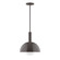 Ray One Light Pendant in Architectural Bronze (518|STGX471G1551)