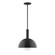 Ray One Light Pendant in Black (518|STGX471G1541)