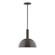 Ray One Light Pendant in Architectural Bronze (518|STGX47151)