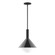 Chase One Light Pendant in Black (518|STGX466G1541)