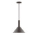 Chase One Light Pendant in Architectural Bronze (518|STGX46651)