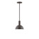 Ray One Light Pendant in Architectural Bronze (518|STGX45651)