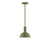 Ray One Light Pendant in Fern Green (518|STGX45622)