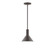 Chase One Light Pendant in Architectural Bronze (518|STGX45151)