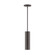 Beam One Light Pendant in Architectural Bronze (518|STG42651)