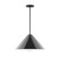 Pinnacle One Light Pendant in Black (518|STG423G1541)