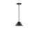 Pinnacle One Light Pendant in Black (518|STG42141)
