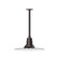 Radial One Light Pendant in Architectural Bronze (518|STB15951T36)