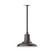 Warehouse One Light Pendant in Architectural Bronze (518|STA18251H30)