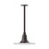 Radial One Light Pendant in Architectural Bronze (518|STA15851H36)