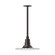 Radial One Light Pendant in Architectural Bronze (518|STA15851)