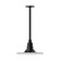 Radial One Light Pendant in Black (518|STA15841H36)