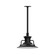 Homestead One Light Pendant in Black (518|STA14241)