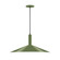 Zing Two Light Pendant in Fern Green (518|PEBX47822C04)