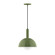 Ray One Light Pendant in Fern Green (518|PEBX471G1522)