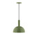 Ray One Light Pendant in Fern Green (518|PEBX47122C04)