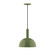 Ray One Light Pendant in Fern Green (518|PEBX47122)