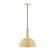 Ray One Light Pendant in Ivory (518|PEBX47117C25)