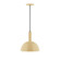 Ray One Light Pendant in Ivory (518|PEBX47117)