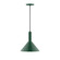 Chase One Light Pendant in Forest Green (518|PEBX466G1542C25)