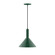 Chase One Light Pendant in Forest Green (518|PEBX46642)