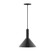 Chase One Light Pendant in Black (518|PEBX46641C25)