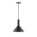 Chase One Light Pendant in Black (518|PEBX46641)