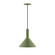 Chase One Light Pendant in Fern Green (518|PEBX46622C24)