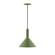 Chase One Light Pendant in Fern Green (518|PEBX46622)
