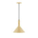 Chase One Light Pendant in Ivory (518|PEBX46617)
